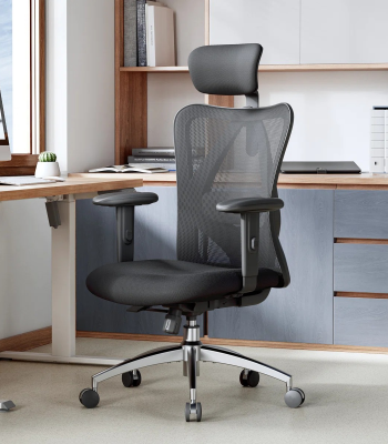ergonomic mesh office chair, mesh back office chair, breathable office chair, adjustable mesh chair, mesh desk chair, lumbar support mesh chair, high back mesh office chair, mid back ergonomic chair, mesh swivel chair, mesh task chair, comfortable mesh office chair, mesh chair with armrests, rolling mesh office chair, reclining mesh office chair, mesh chair for long hours, home office mesh chair, mesh executive office chair, ergonomic chair with mesh back, modern mesh office chair, posture support mesh chair, mesh office chair with wheels, mesh chair with headrest, ventilated mesh office chair, mesh seat computer chair, ergonomic work chair mesh