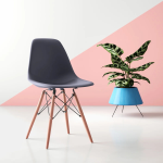 Eames plastic dining chair, modern Eames chair, plastic Eames chair, Eames molded chair, Eames DSW chair, Eames-style dining chair, mid-century modern dining chair, Eames chair replica, Eames side chair, molded plastic dining chair, Scandinavian dining chair, Eames-inspired chair, minimalist plastic dining chair, Eames design chair, plastic dining room chair, Eames kitchen chair, contemporary Eames dining chair, Eiffel base dining chair, Eames chair with wooden legs, molded seat dining chair, DSW plastic side chair, Eames dining furniture, modern plastic dining chair, retro style dining chair, Eames chair set, stylish plastic side chair